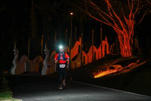 BIB: 4940
                            <button type="button" onclick="openModal(22510325)" class="btn btn-primary btn-sm float-right btn-popup" data-toggle="modal" data-target=".modal-high-quality">
                        <i class="fas fa-shopping-cart"></i> Add to Cart
                    </button>
                                            <button type="button" onclick="isThisMe(22510325, true)" class="btn btn-success btn-sm float-right btn-popup btn-isme hidden" data-toggle="tooltip" data-placement="bottom" title="นี่คือรูปของคุณใช่ไหม คลิกที่นี่เพื่อเอาเข้าอัลบั้ม">
                        <i class="fas fa-plus"></i> Add to album
                    </button>
                    <button type="button" onclick="isThisMe(22510325, false)" class="btn btn-warning btn-sm float-right btn-popup btn-isnotme hidden">
                        <i class="fas fa-ban"></i> Remove from album
                    </button>